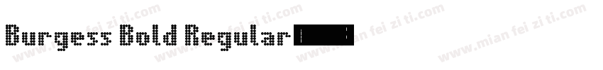 Burgess Bold Regular字体转换